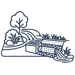 Schematic of stormwater drainage with vegetation.